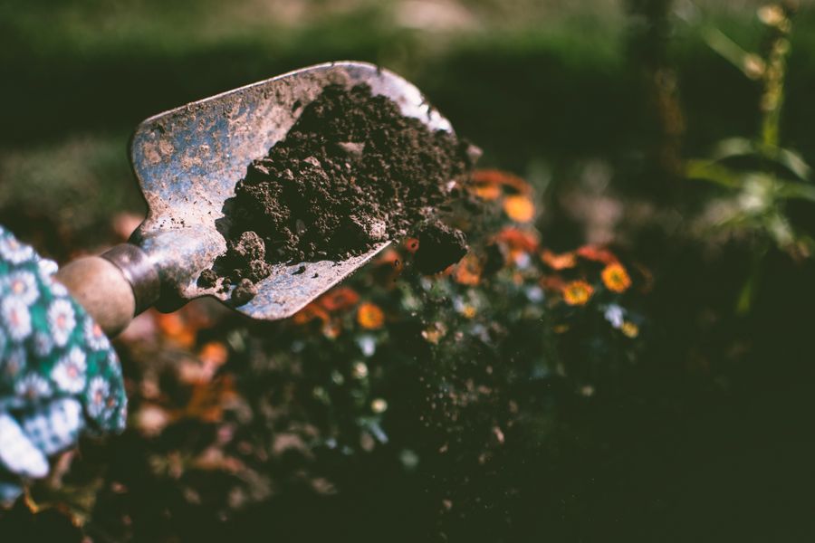 Gartenpflege Hamburg – regelmäßige Pflege von Außenanlagen